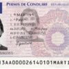 FRENCH DRIVER'S LICENSE