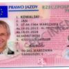 POLAND DRIVER'S LICENSE