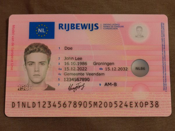 EU driving license in Netherlands