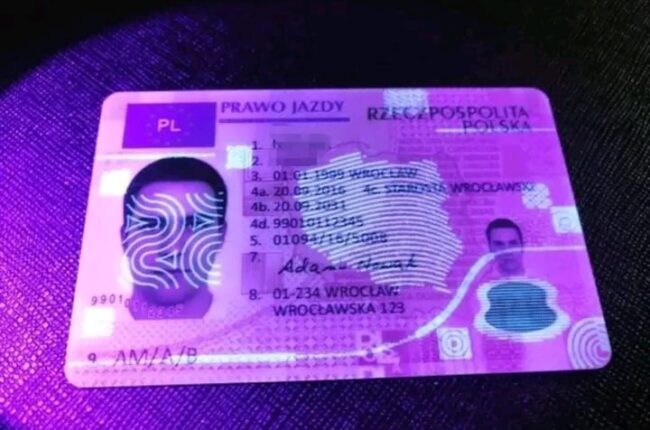 BUY GENUINE POLISH DRIVING LICENSE ONLINE